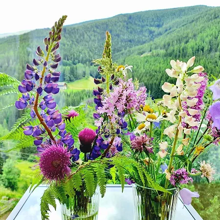 Magic View @ Rosie * Bad Kleinkirchheim