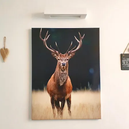 Lejlighed Magic View @ Rosie Bad Kleinkirchheim